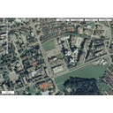 velikosti zelenih povrsin.jpg<>Kolikšna je velikost vseh zelenih površin v mestu?